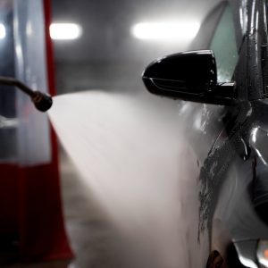 Steam Sanitation